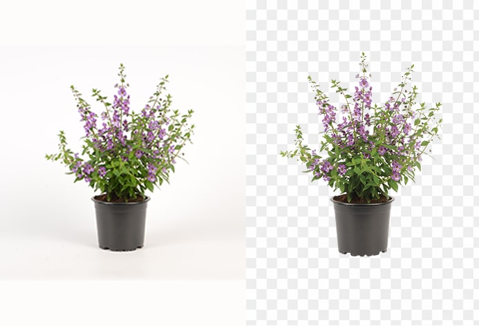 Flower Pot Clipping Path Service Banner